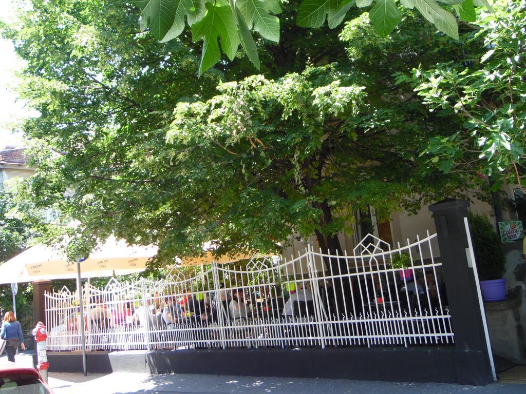 Apartment Vracar Belgrad Rum bild