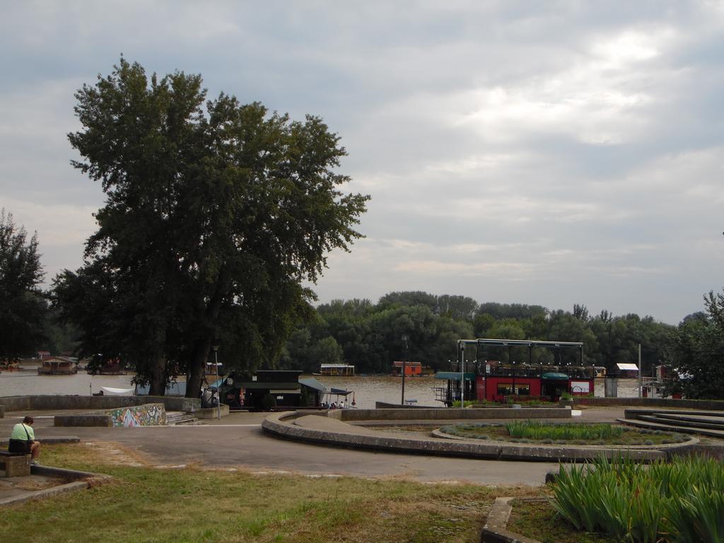 Apartment Vracar Belgrad Rum bild