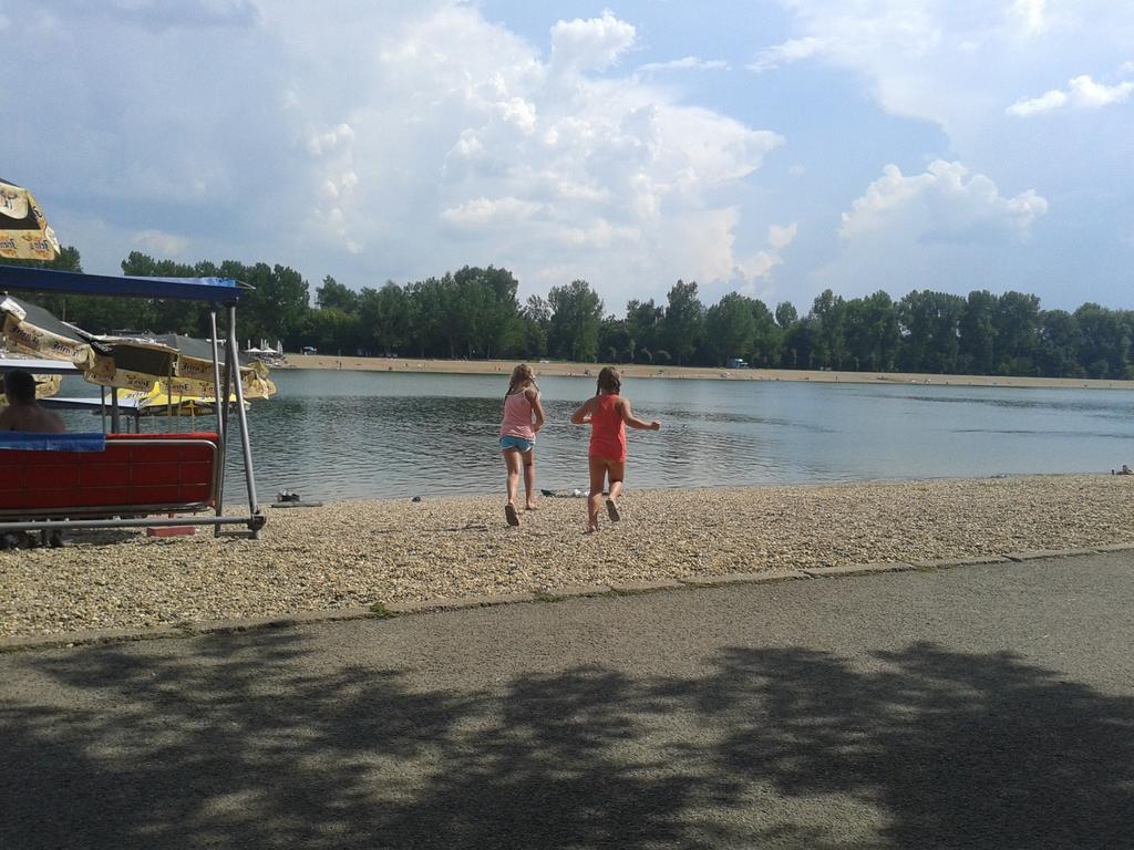 Apartment Vracar Belgrad Rum bild