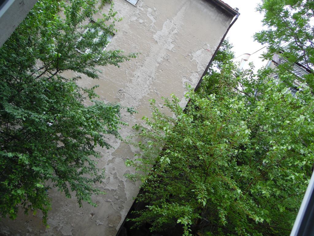 Apartment Vracar Belgrad Exteriör bild