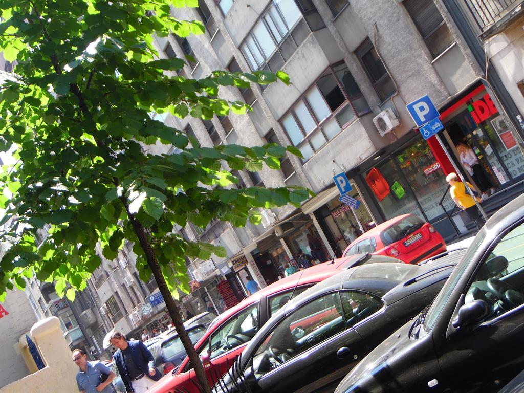 Apartment Vracar Belgrad Exteriör bild